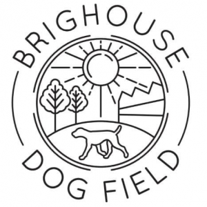 Dog Field Session